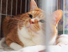 辰巳出版株式会社のプレスリリース画像5