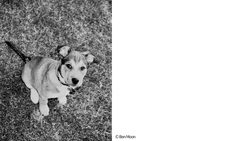 辰巳出版株式会社のプレスリリース画像1