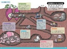 辰巳出版株式会社のプレスリリース画像5