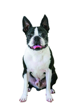 辰巳出版株式会社のプレスリリース画像7