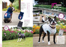 辰巳出版株式会社のプレスリリース画像3