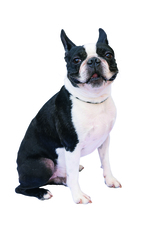 辰巳出版株式会社のプレスリリース画像8