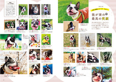 辰巳出版株式会社のプレスリリース画像1