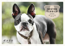 辰巳出版株式会社のプレスリリース画像5