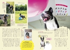 辰巳出版株式会社のプレスリリース画像6