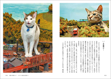 辰巳出版株式会社のプレスリリース画像4