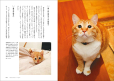 辰巳出版株式会社のプレスリリース画像5