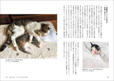 辰巳出版株式会社のプレスリリース画像6