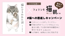 辰巳出版株式会社のプレスリリース画像2