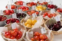 有限会社大橋さくらんぼ園のプレスリリース