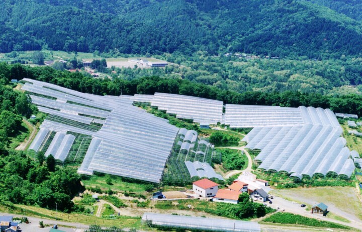 有限会社大橋さくらんぼ園のプレスリリース画像4