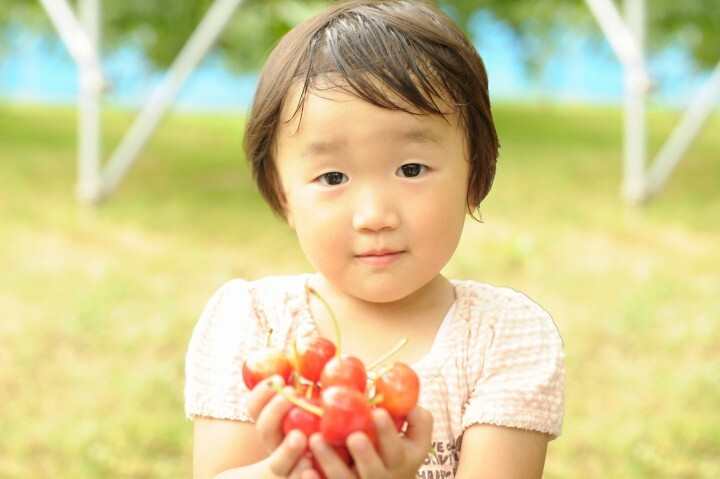 有限会社大橋さくらんぼ園のプレスリリース画像7