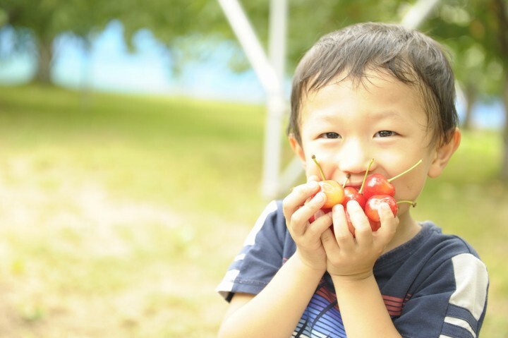 有限会社大橋さくらんぼ園のプレスリリース画像8
