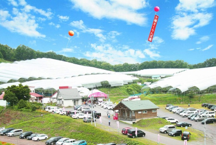 有限会社大橋さくらんぼ園のプレスリリース画像3