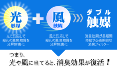 株式会社　Ｂｏｄｙ　＆　Ｂｅａｕｔｙのプレスリリース画像1