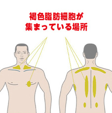 株式会社　Ｂｏｄｙ　＆　Ｂｅａｕｔｙのプレスリリース画像8