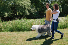 株式会社　Ｂｏｄｙ　＆　Ｂｅａｕｔｙのプレスリリース画像8