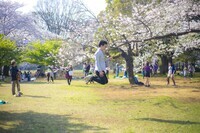 株式会社白ヤギコーポレーションのプレスリリース画像6