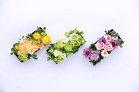 L&#39;arbreのプレスリリース画像2