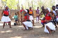 NPO法人エコロジーオンラインのプレスリリース画像1