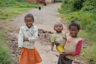 NPO法人エコロジーオンラインのプレスリリース画像1