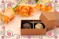 株式会社オープンサイトのプレスリリース画像1