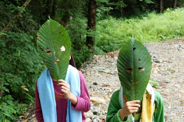 自然を愛する人 を育て 小学校における森林環境教育の重要性を訴えるシンポジウム 学校の森 子どもサミット 開催 認定npo法人共存の森ネットワークのプレスリリース