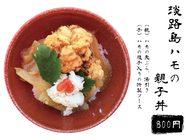 ジョイポート淡路島株式会社のプレスリリース画像1