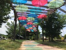 ジョイポート淡路島株式会社のプレスリリース画像1