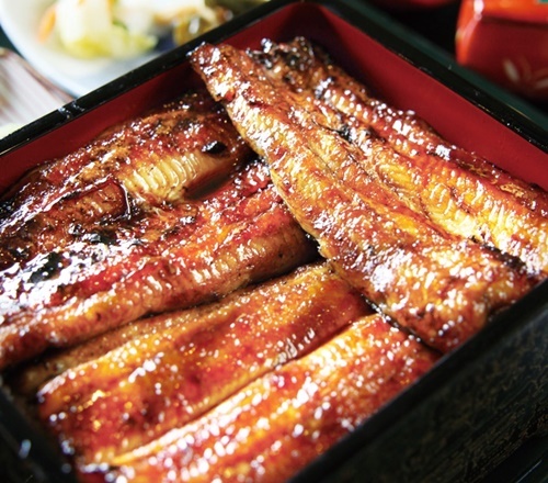 セキュリテ（ミュージックセキュリティーズ株式会社）のプレスリリース画像1