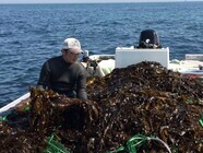 セキュリテ（ミュージックセキュリティーズ株式会社）のプレスリリース画像1