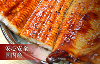 セキュリテ（ミュージックセキュリティーズ株式会社）のプレスリリース画像1