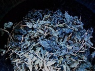 セキュリテ（ミュージックセキュリティーズ株式会社）のプレスリリース画像1