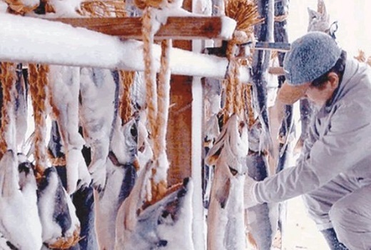 セキュリテ（ミュージックセキュリティーズ株式会社）のプレスリリース画像1