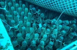 セキュリテ（ミュージックセキュリティーズ株式会社）のプレスリリース画像1