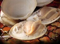 セキュリテ（ミュージックセキュリティーズ株式会社）のプレスリリース画像1