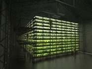 セキュリテ（ミュージックセキュリティーズ株式会社）のプレスリリース画像2