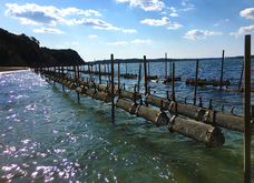 セキュリテ（ミュージックセキュリティーズ株式会社）のプレスリリース画像2