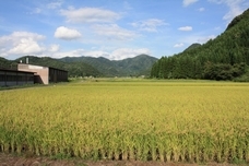 セキュリテ（ミュージックセキュリティーズ株式会社）のプレスリリース画像2