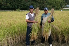 セキュリテ（ミュージックセキュリティーズ株式会社）のプレスリリース画像2