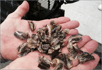 株式会社アイリンクのプレスリリース画像3