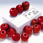 株式会社レンタスのプレスリリース画像4