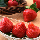 株式会社レンタスのプレスリリース画像1