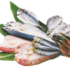 株式会社レンタスのプレスリリース画像6