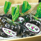 株式会社レンタスのプレスリリース画像4