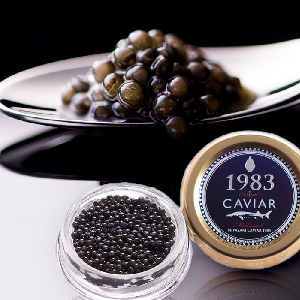 株式会社レンタスのプレスリリース画像2