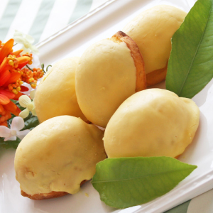 株式会社レンタスのプレスリリース画像5