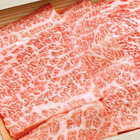 株式会社レンタスのプレスリリース画像1