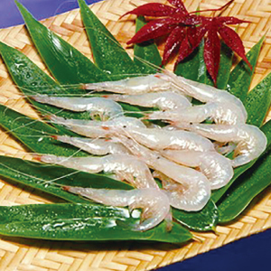 株式会社レンタスのプレスリリース画像1