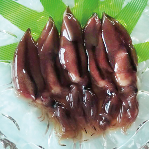 株式会社レンタスのプレスリリース画像8